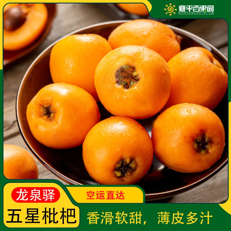 【店长推荐】空运枇杷/枇杷自然完熟新鲜多汁，皮薄香甜，好吃