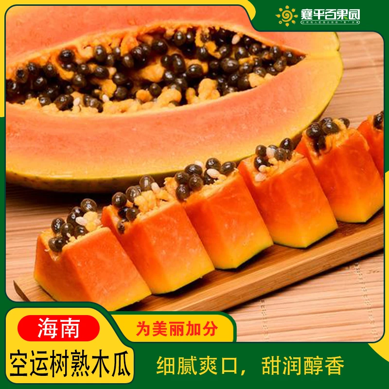 【好吃一点】空运果王树熟木瓜整果1000g±50/纯甜新鲜多汁