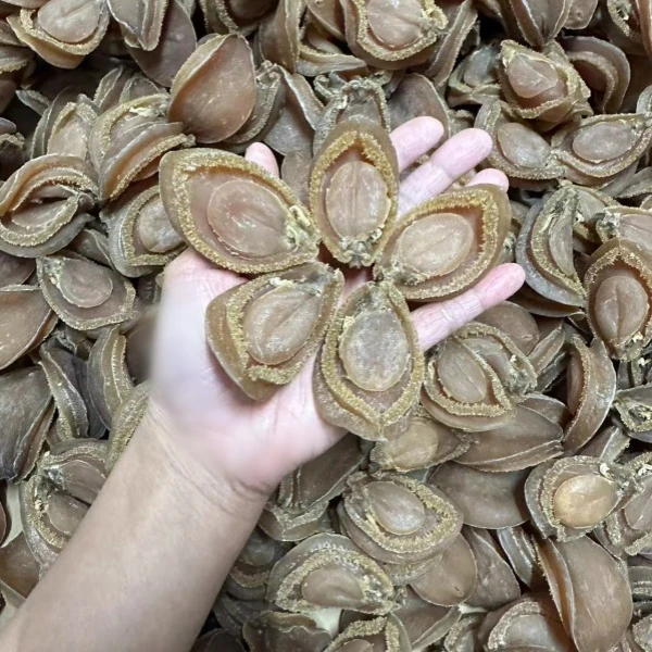 永洋汇 27头 南吉干货 溏心干鲍 500g