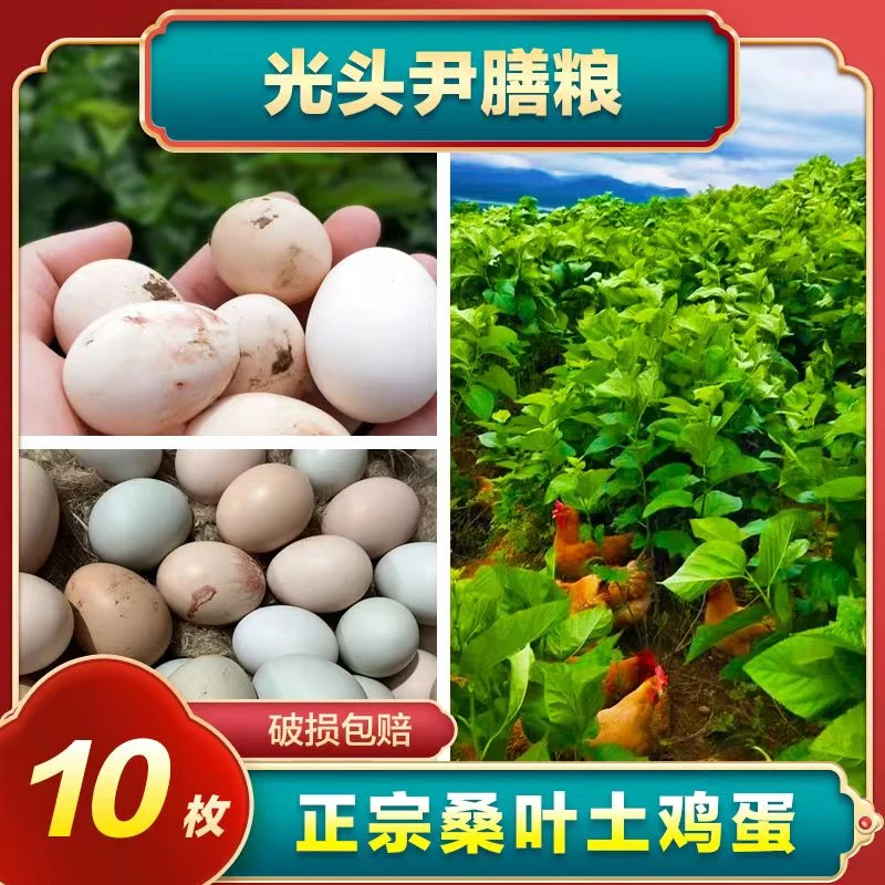 10枚桑叶土鸡蛋  农家原生态自然散养 0激0抗营养健康