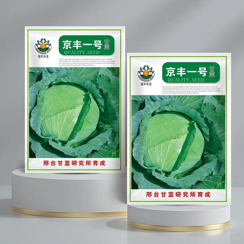 特大包心菜种子京丰一号甘蓝种子中熟蔬菜种子一代杂交甘蓝种子