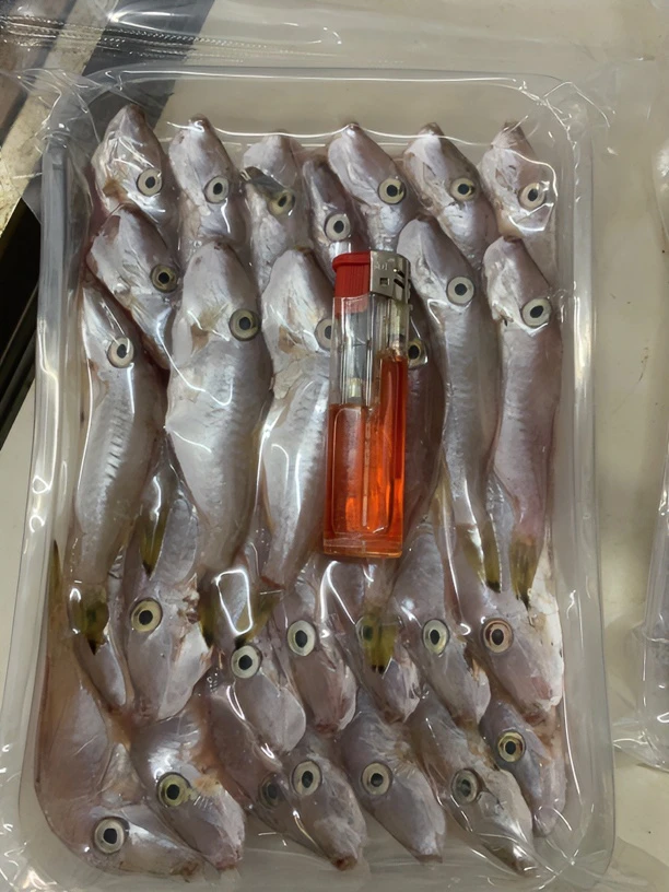 惠来神泉港口 大剥皮鱼 (5斤) 20条左右去皮去肚一包400克