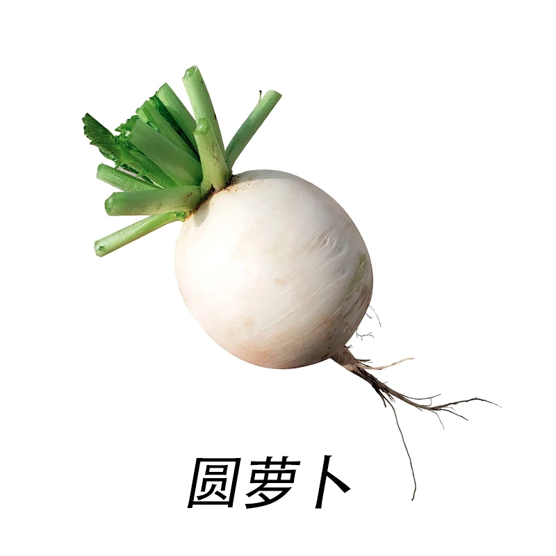 圆萝卜500g±20g/份