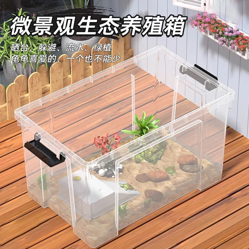 乌龟周转箱家用过滤造景塑料专养龟缸透明生态箱生物养鱼养殖箱子
