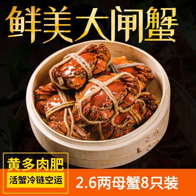 蟹友品【活蟹】2.6两全母蟹6只 8只 10只精品大闸蟹礼盒包邮