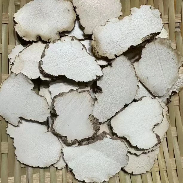 大姨虎乳菌野生虎乳菇深山虎奶菌切片