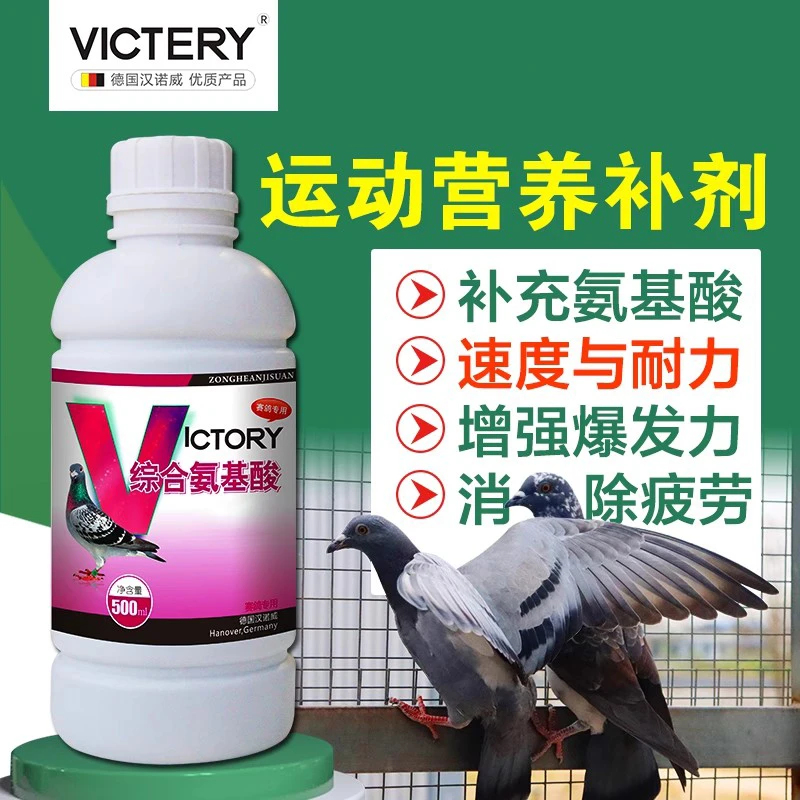 德国汉诺威综合氨基酸鸽子零食赛鸽用品