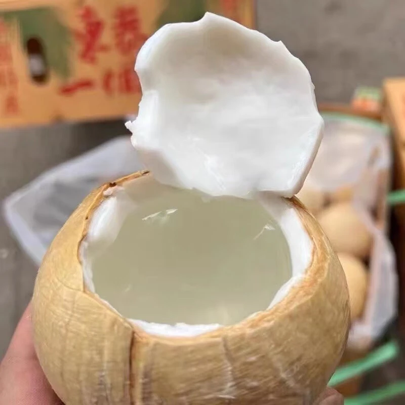 【中果】泰国进口新鲜椰皇清甜天然解渴（单果400g-500g）