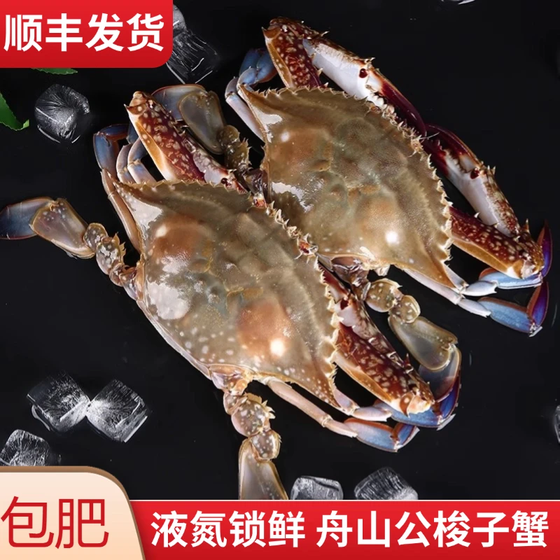 梭子蟹鲜活冷冻大海螃蟹红膏蟹飞蟹花蟹3斤海鲜水产舟山批发速冻