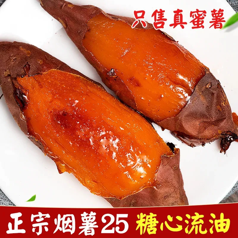 山东农科院正宗烟薯25沙地烤地瓜9斤糖心流油软糯香甜蜜薯番薯5斤
