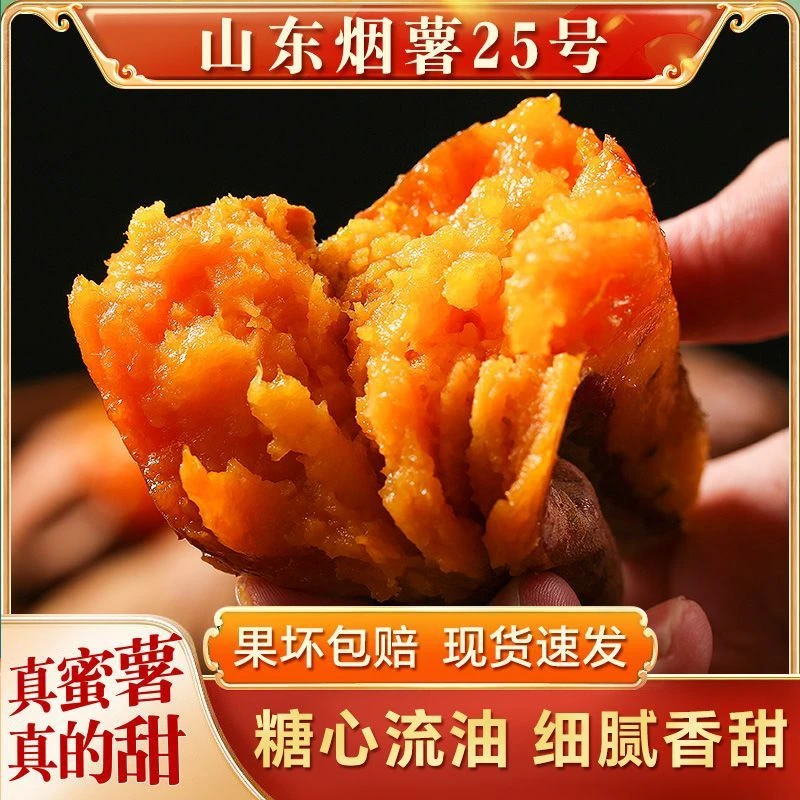 山东农科院正宗烟薯25农家自种沙地烤地瓜流糖挂蜜蜜薯番薯5/9斤