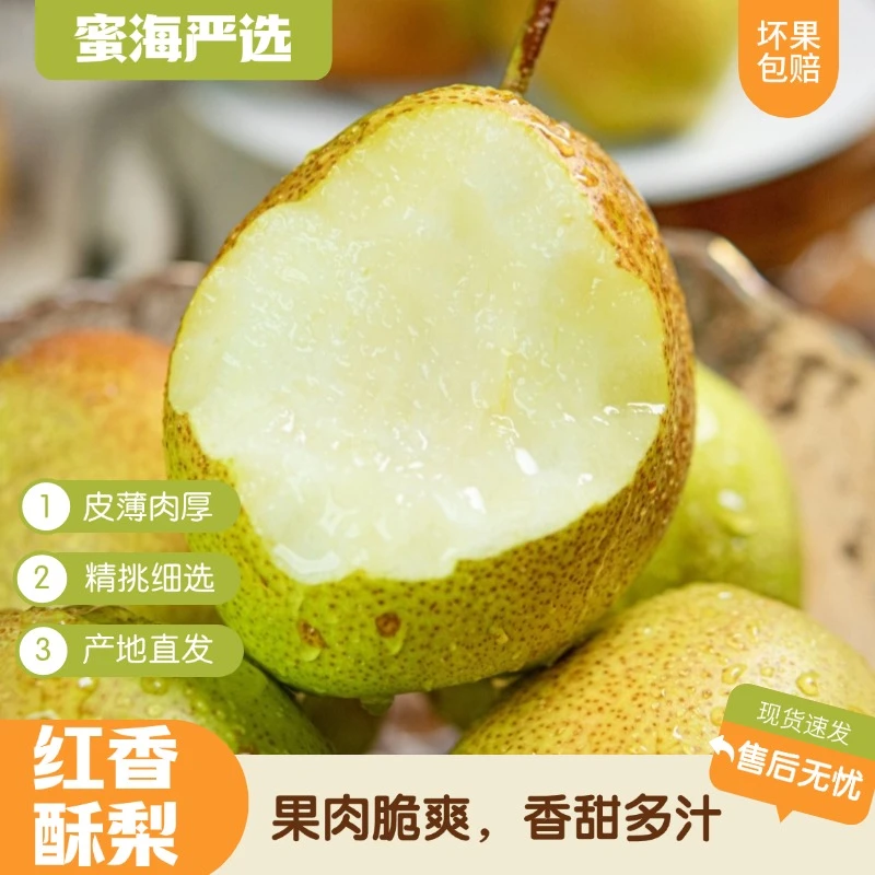 【蜜海严选】红香酥梨3斤口感爽口好吃香甜细腻D