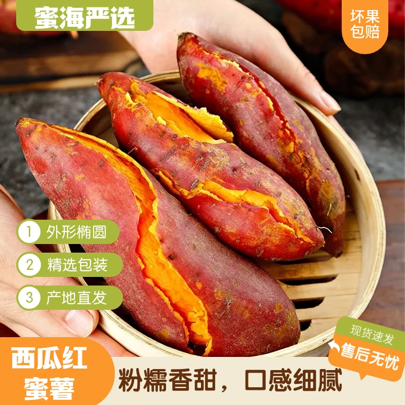 【蜜海严选】西瓜红番薯4.5斤9-15个左右现挖现发农家红心地瓜