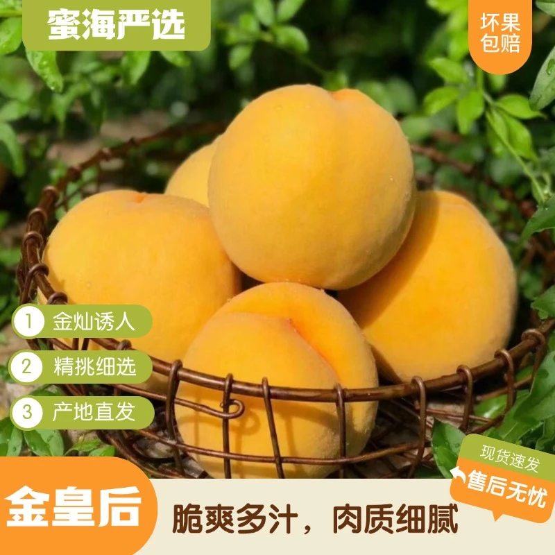 【蜜海严选】金皇后黄桃4.5斤装脆爽多汁肉质细腻现摘现发