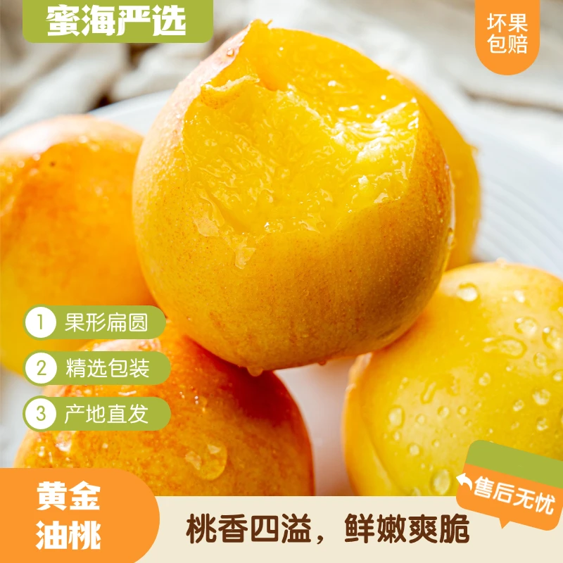 【蜜海严选】蒙阴黄金油桃4.5斤新鲜采摘香甜多汁鲜嫩爽脆甜蜜LL