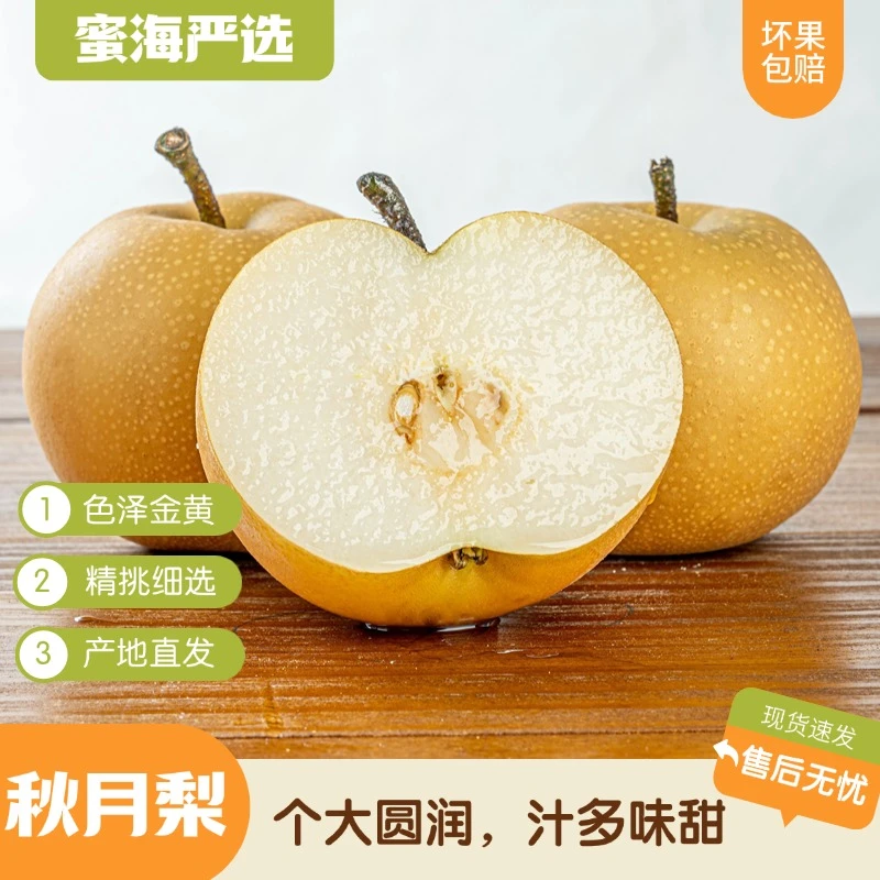 【蜜海严选】青岛秋月梨4.5-5斤家庭装/4.5斤礼盒装