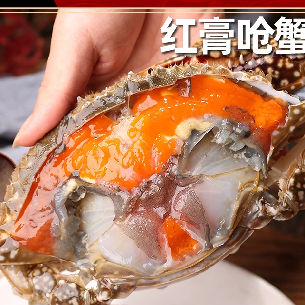 【舟山味】精品飞机红膏呛蟹4~5两/只食用咸蟹母蟹（生吃不可蒸煮）