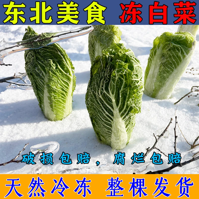 东北冻白菜半包心菜整棵农家天然冰冷冻蘸酱菜新鲜绿叶新鲜嫩精选