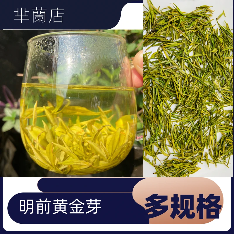 精选好茶   明前头采   黄金芽罐装