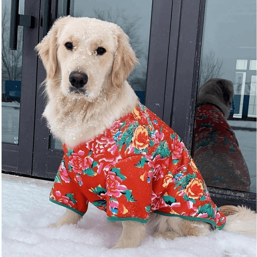 宠物衣服狗狗猫咪东北花棉袄喜庆过年保暖冬季防风防掉毛小中大型