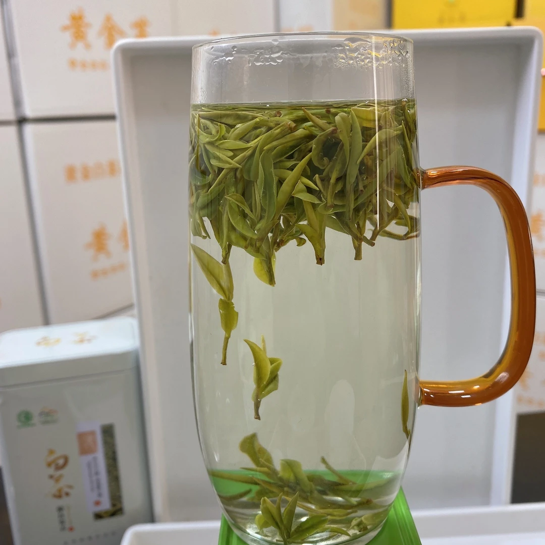 2025新茶明前白茶开园头采250g500g散装