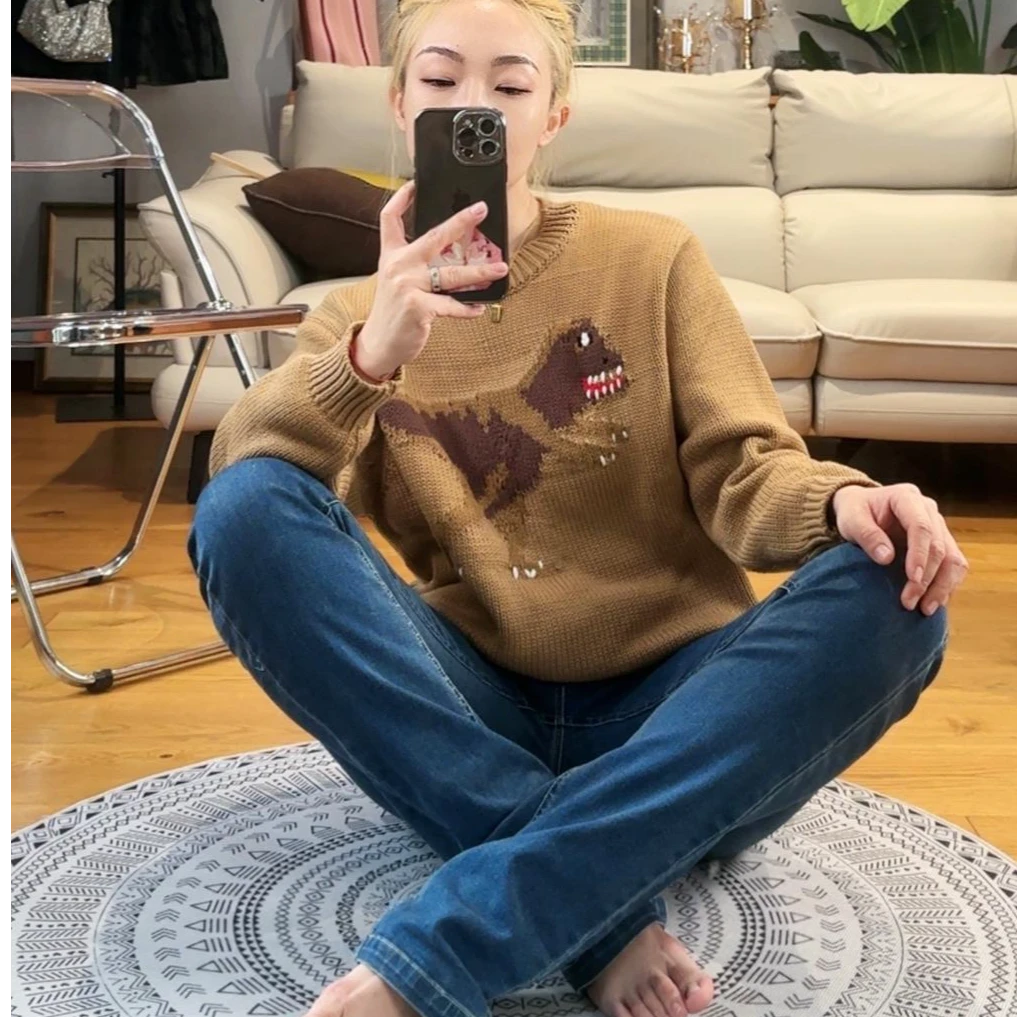 时尚圆领网红休闲毛衣（小恐龙款）