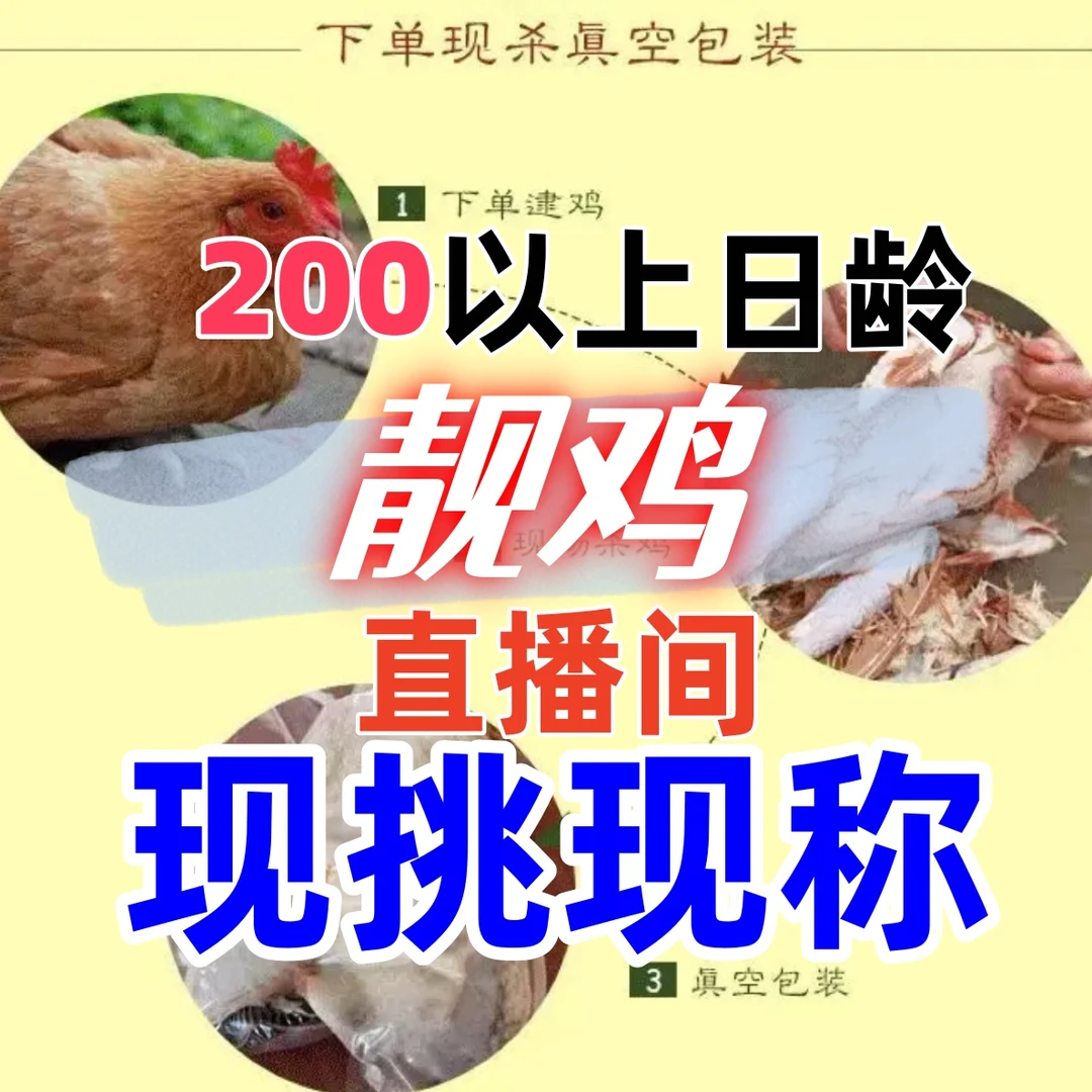 [现场称重临时链接}散养跑山鸡现宰现发顺丰冷链包邮