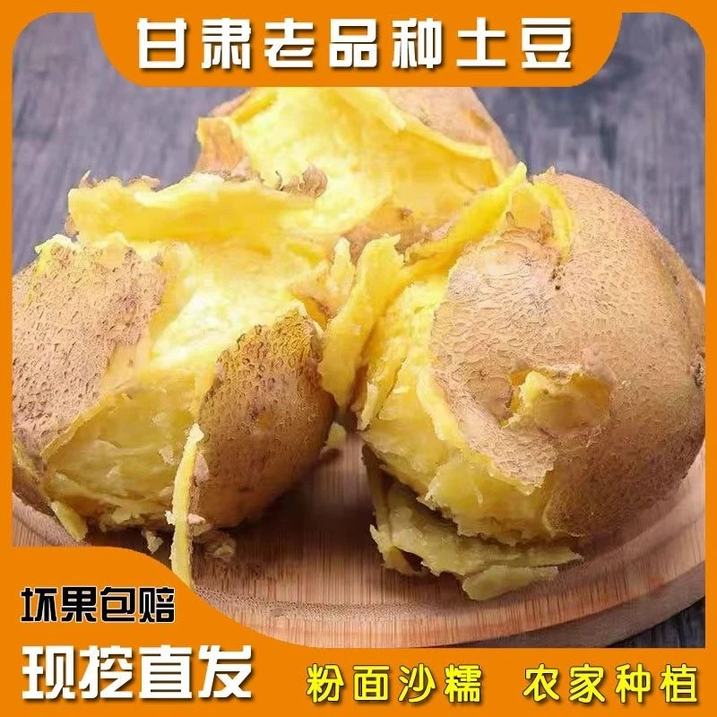 25年新挖甘肃定西土豆沙面粉糯黄皮黄心土豆旱沙地爆皮马铃薯洋芋