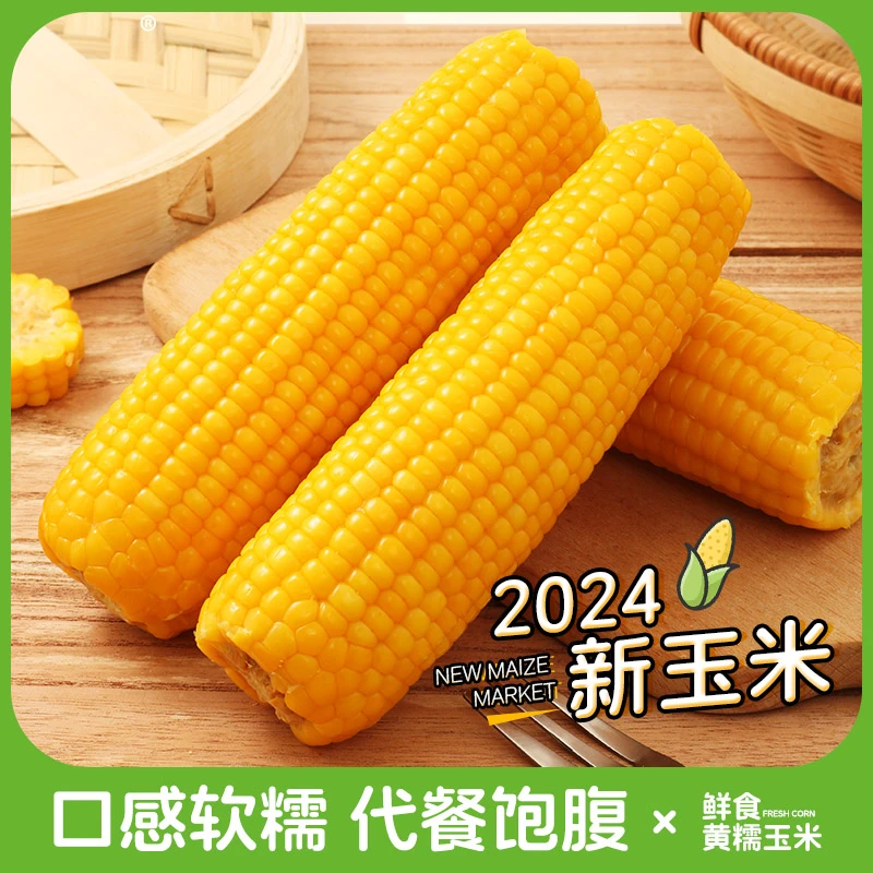 【恋糯】2024东北头茬黄糯玉米软糯香甜280g长度15cm试吃两根