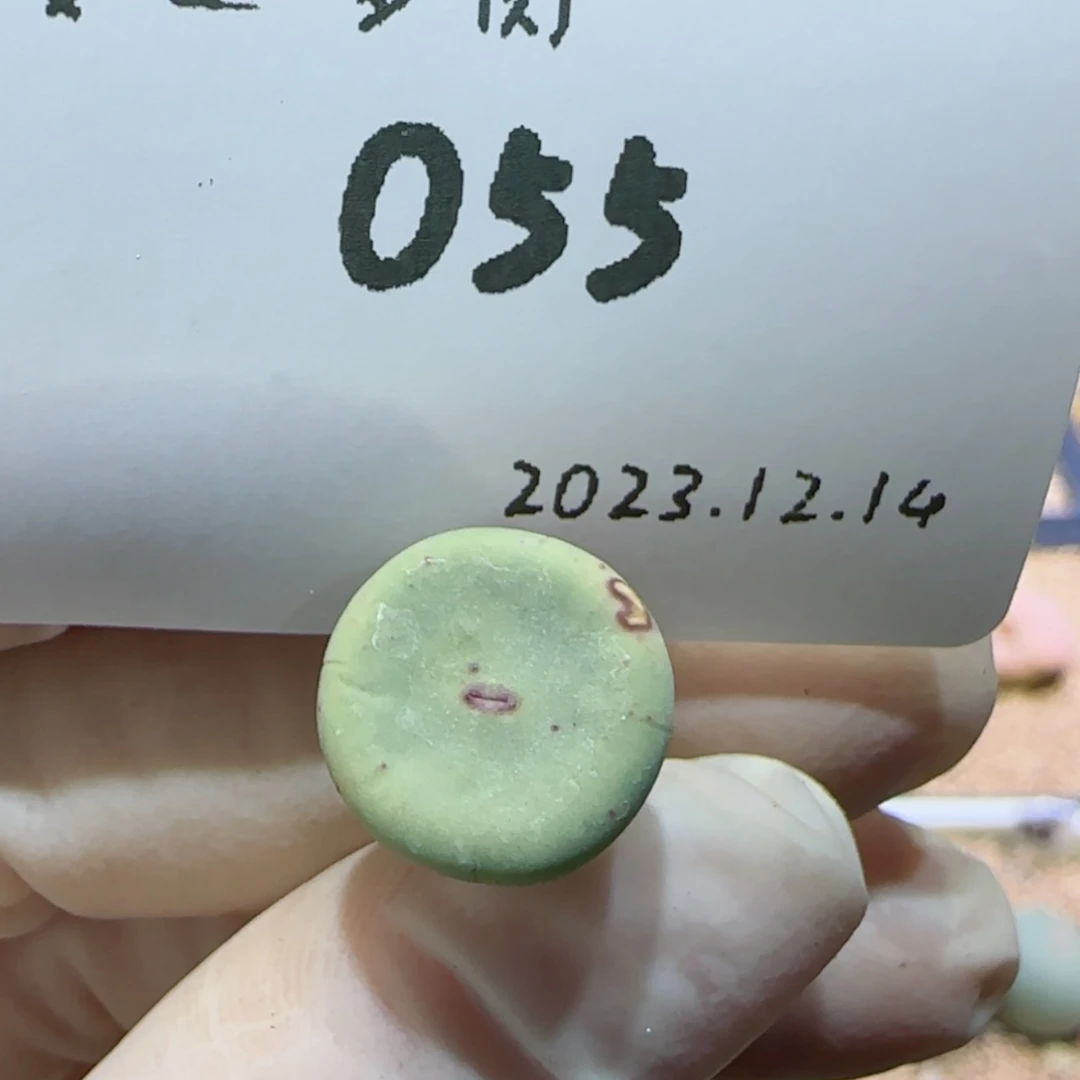 【闪购商品】12.14-055