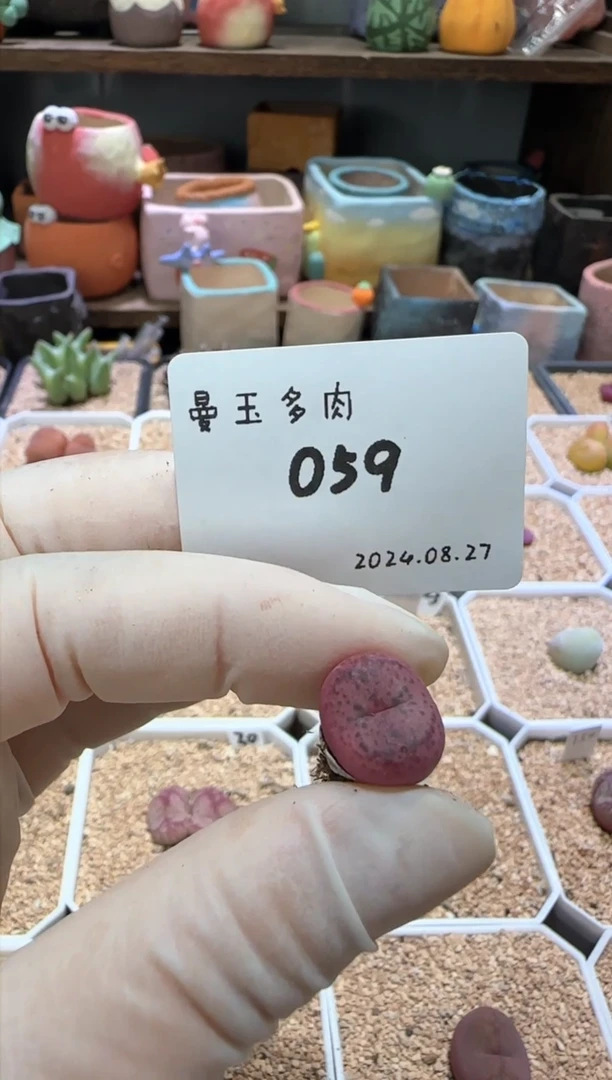 【闪购商品】8.27--59