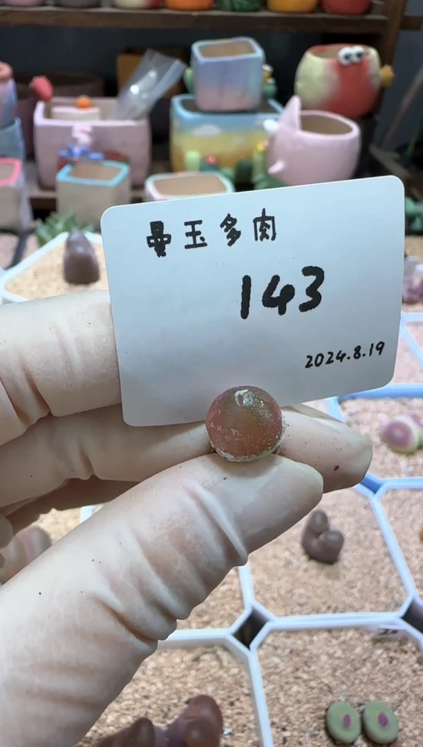 【闪购商品】8.19-143