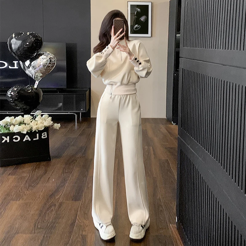 欧货加绒立领卫衣套装女秋冬设计感开叉上衣休闲阔腿裤运动两件套