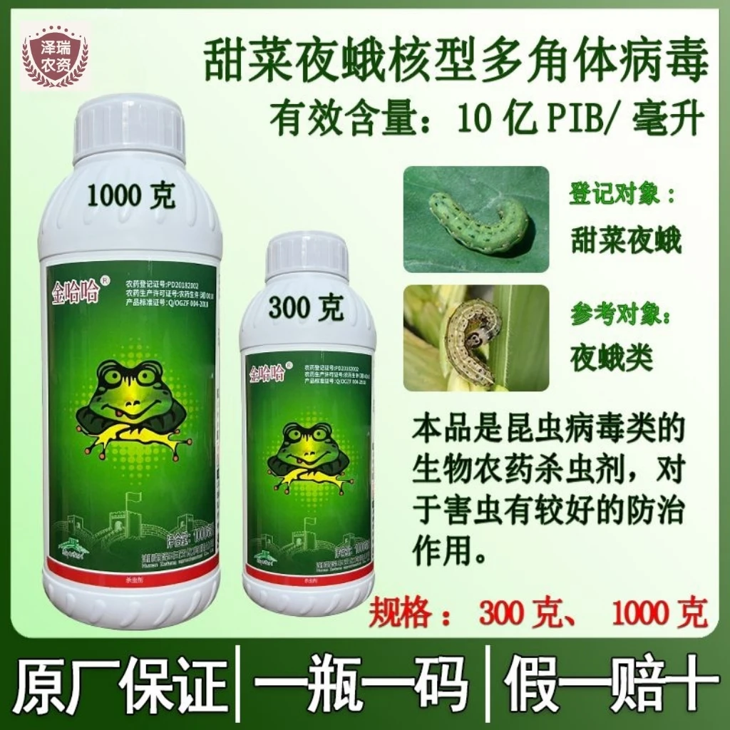 金哈哈甜菜夜蛾核型多角体病毒蔬菜甘蓝甜菜夜蛾蔬菜农药杀虫剂药