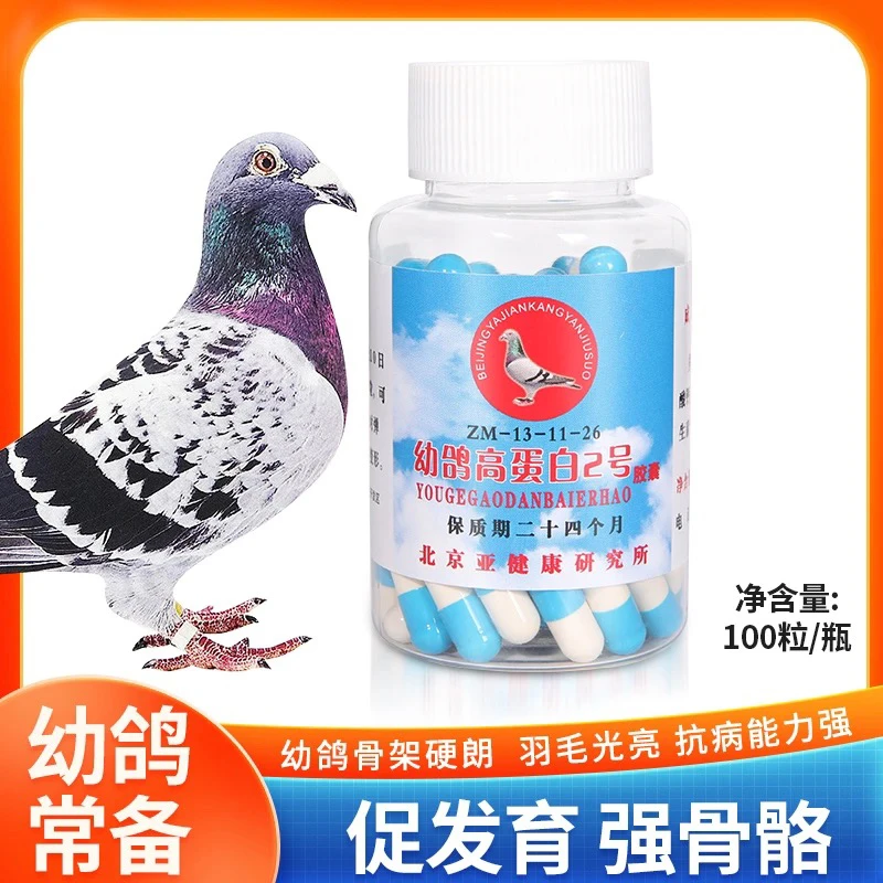 北京亚健康研究所 鸽子 幼鸽蛋白2系增强体质促进成长