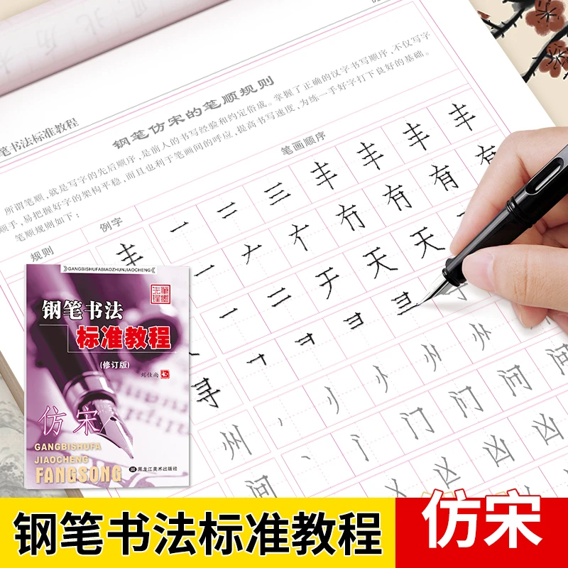 仿宋练字宋体钢笔字帖大学生成人临摹字帖初学者硬笔书法教程标准