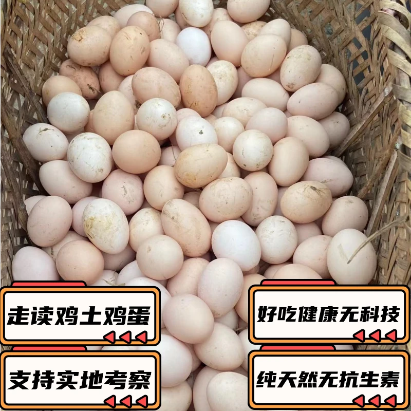 正宗土鸡蛋农家深山散养新鲜土鸡蛋草鸡蛋孕妇月子鸡蛋