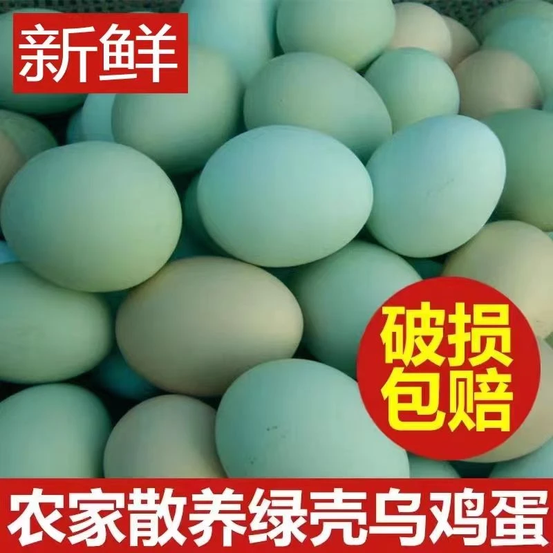 现捡现发新鲜绿壳农家散养土鸡蛋山林乌鸡蛋正宗草鸡蛋月子蛋