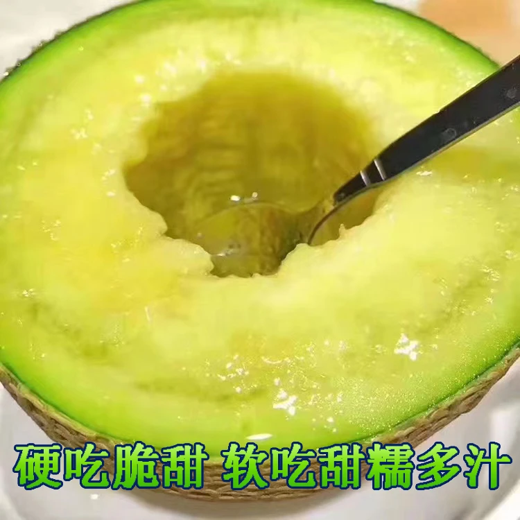 正宗玫珑瓜网纹蜜瓜冰激凌口感哈密瓜3-9斤新鲜孕妇水果甜蜜多汁