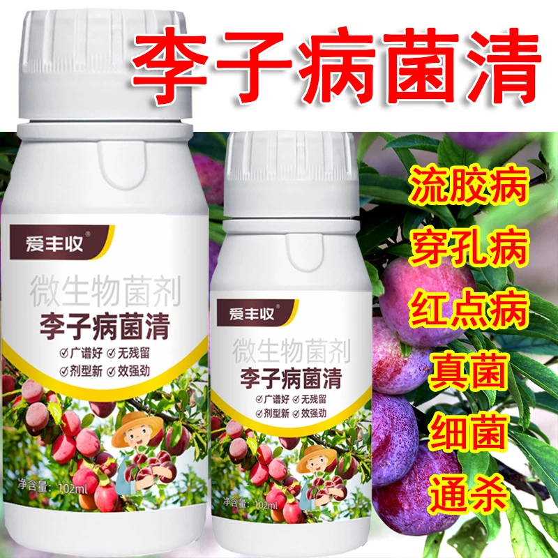 李子病菌清李子专用李子微生物菌剂白粉炭红点流胶霜霉细菌菌肥