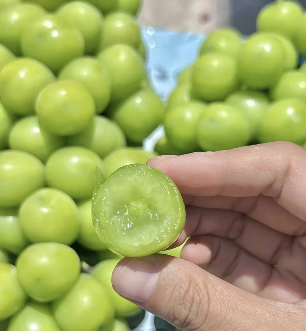 【仅限一天】云南阳光玫瑰9.9元/袋 1.4斤（±200g）（摘颗粒洗净）