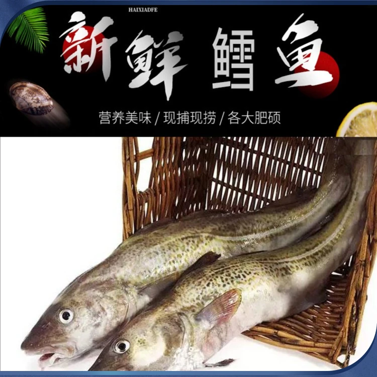 渔鲜福鳕鱼【大头鱼】 整条发货 肉质营养 2-10斤每条 深海海捕
