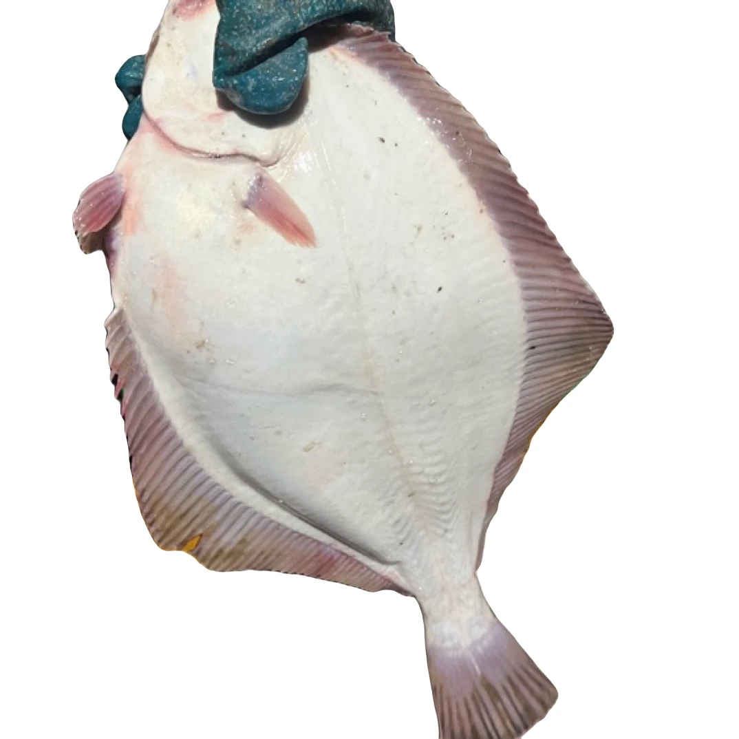 青岛近海石浆鱼肉汁鲜美每条1斤左右净重6斤