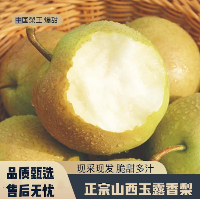山西隰县正宗玉露香梨新鲜皮薄汁水甘甜爽口香甜酥脆无渣