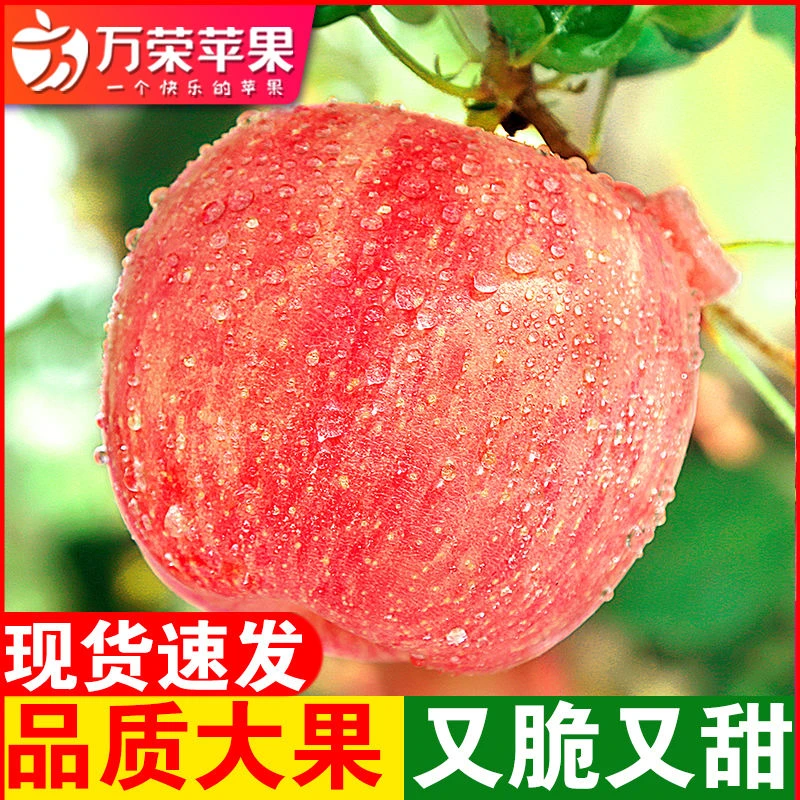 正宗山西万荣苹果红富士营养新鲜脆甜自然多汁老人农家直发含箱重