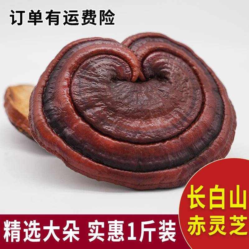 粒然堂长白山林下赤灵芝【退货赠送运费险】泡酒煲汤