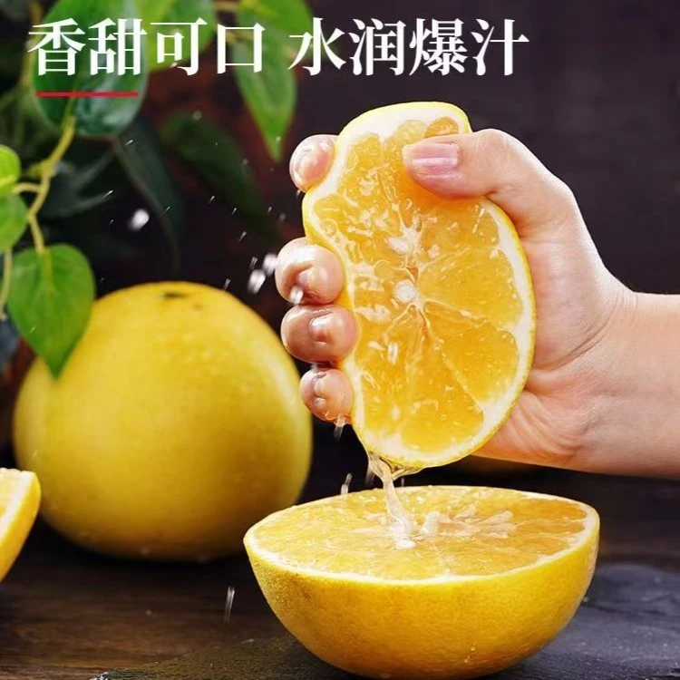 黄金爆汁柚葡萄柚西柚皮薄多汁新鲜香甜水果ym