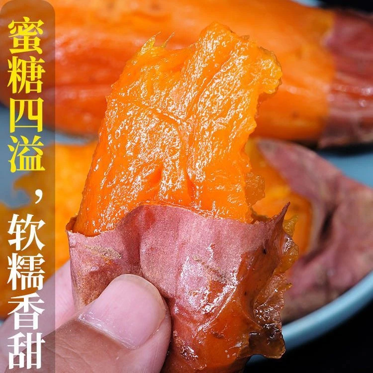 正宗烟薯25号红薯红心农科院山地西瓜红蜜薯新鲜番薯烤地瓜5/9斤