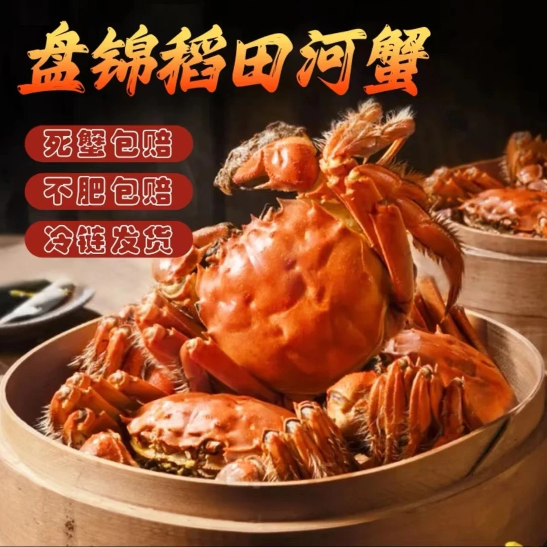 【渔儿湾】盘锦蟹全母2两/只 盘锦稻田蟹2两母蟹 盘锦河蟹