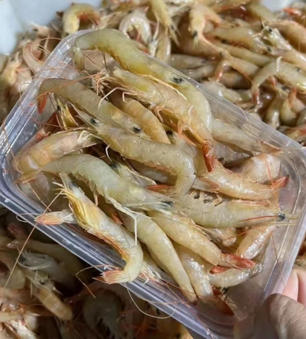 新鲜速冻海捕鹰红虾3斤